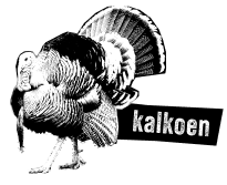 kalkoen