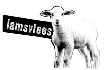 lamsvlees
