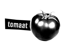 tomaat